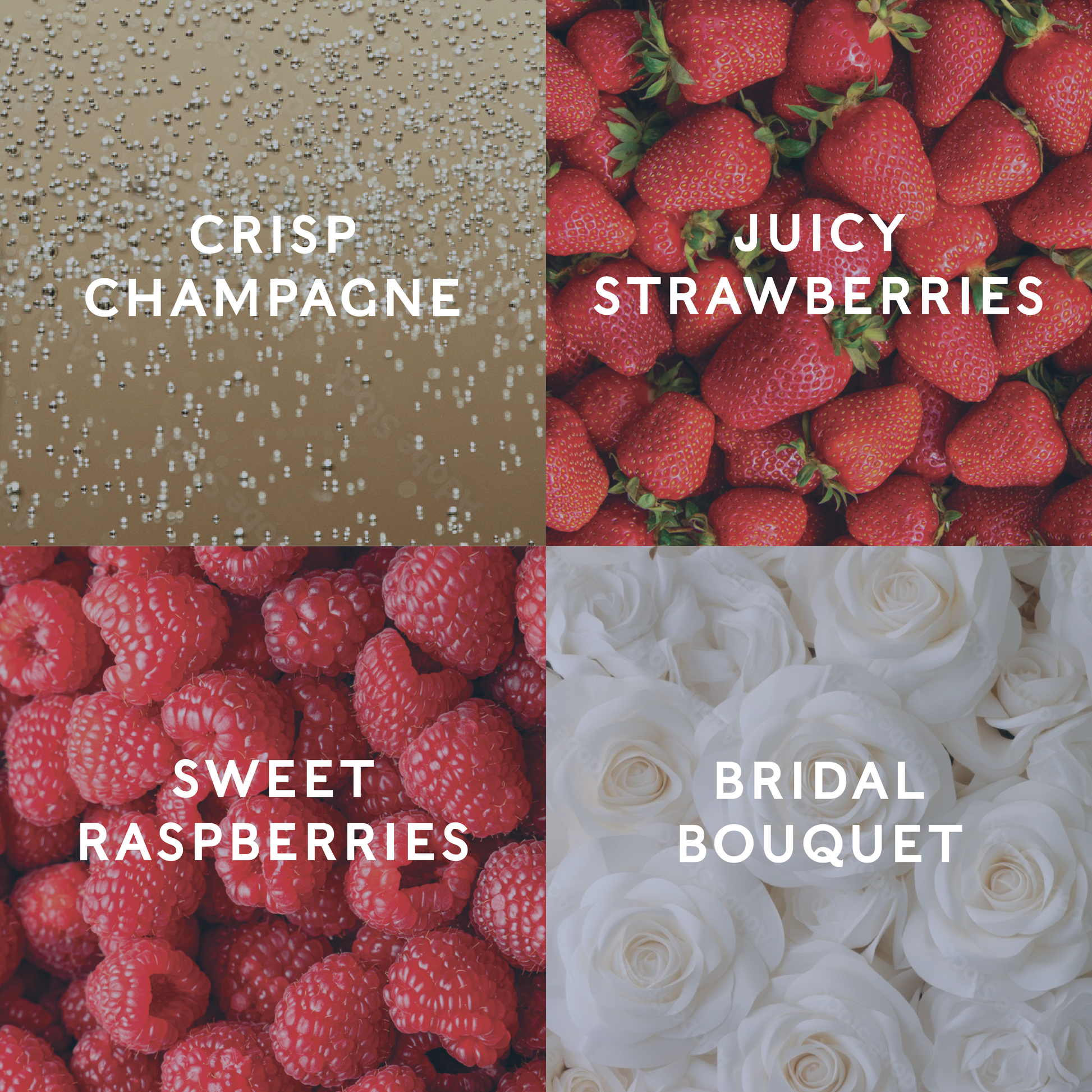 Four square sections with champagne, strawberries, raspberries, and white roses labeled accordingly.