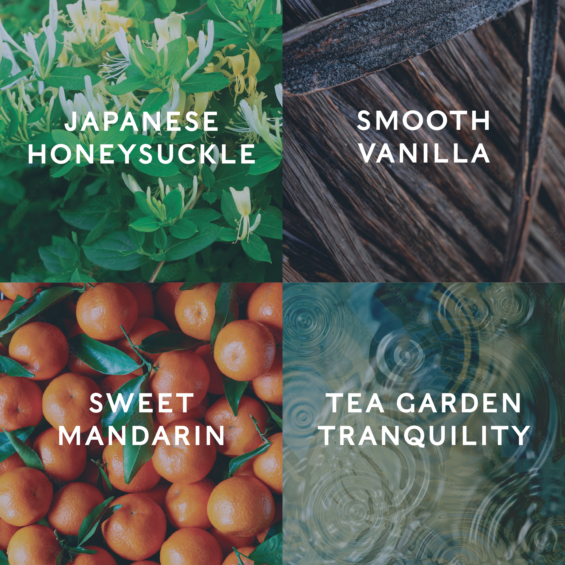 Four different images labeled 'Japanese Honeysuckle', 'Smooth Vanilla', 'Sweet Mandarin', and 'Tea Garden Tranquility' demonstrating the scents for this candle.