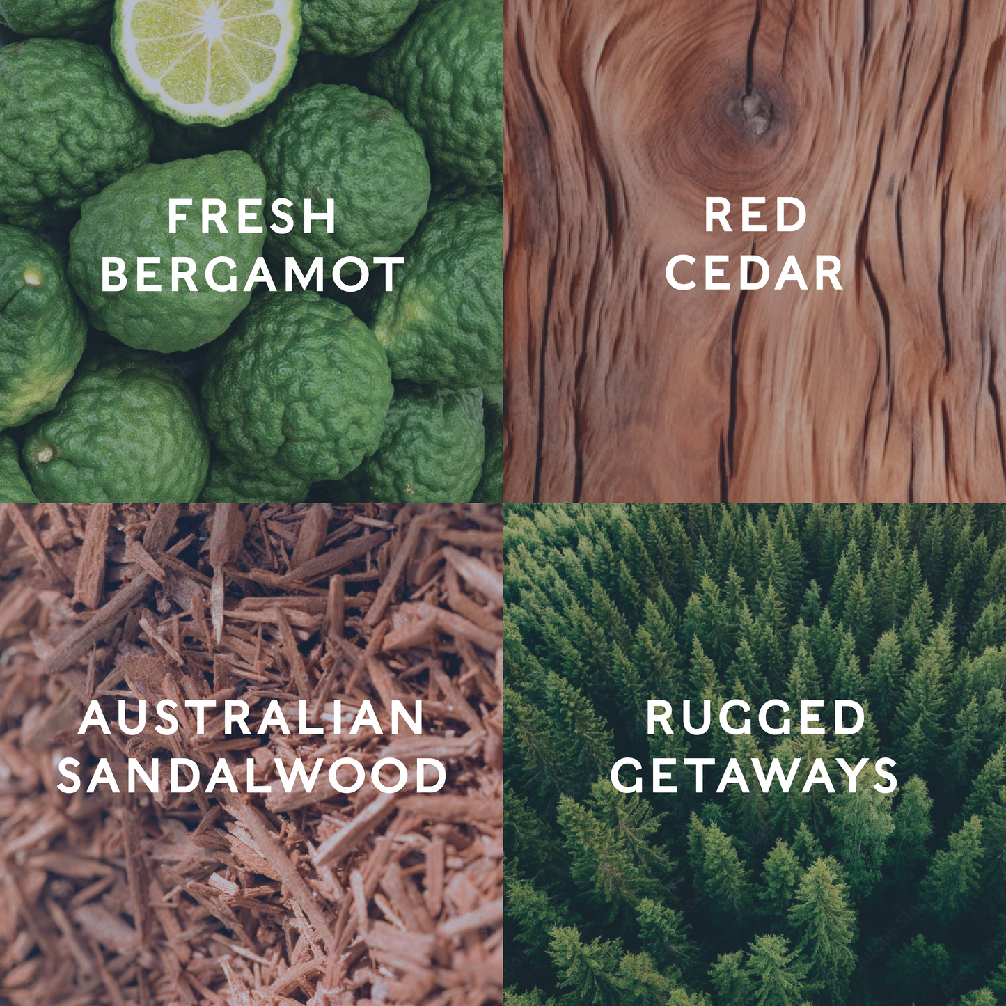 Four different textures and elements labeled 'Fresh Bergamot', 'Red Cedar', 'Australian Sandalwood', and 'Rugged Getaways' to indicate the Mountain Cabin scents.