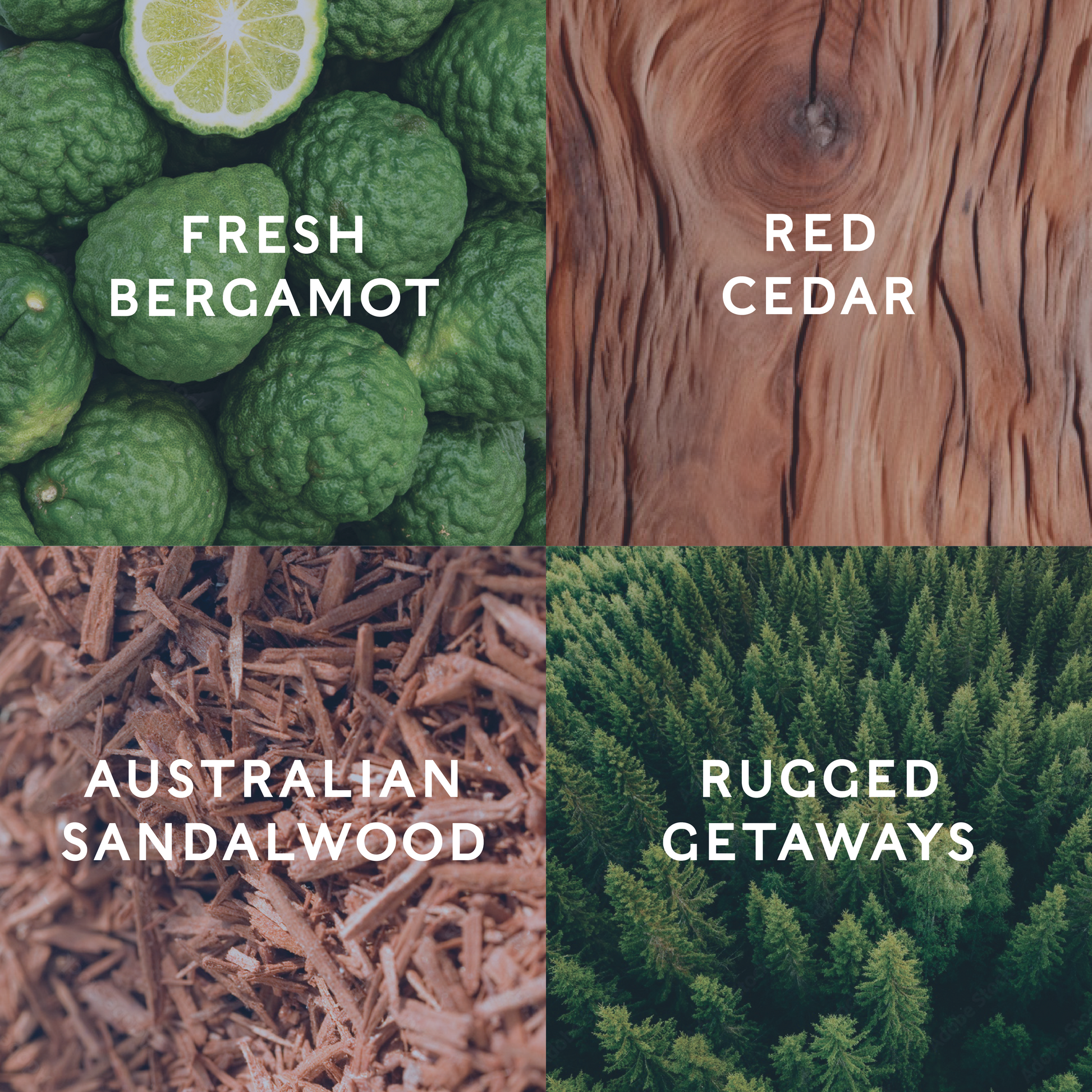 Four different textures and elements labeled 'Fresh Bergamot', 'Red Cedar', 'Australian Sandalwood', and 'Rugged Getaways' to indicate the Mountain Cabin scents.