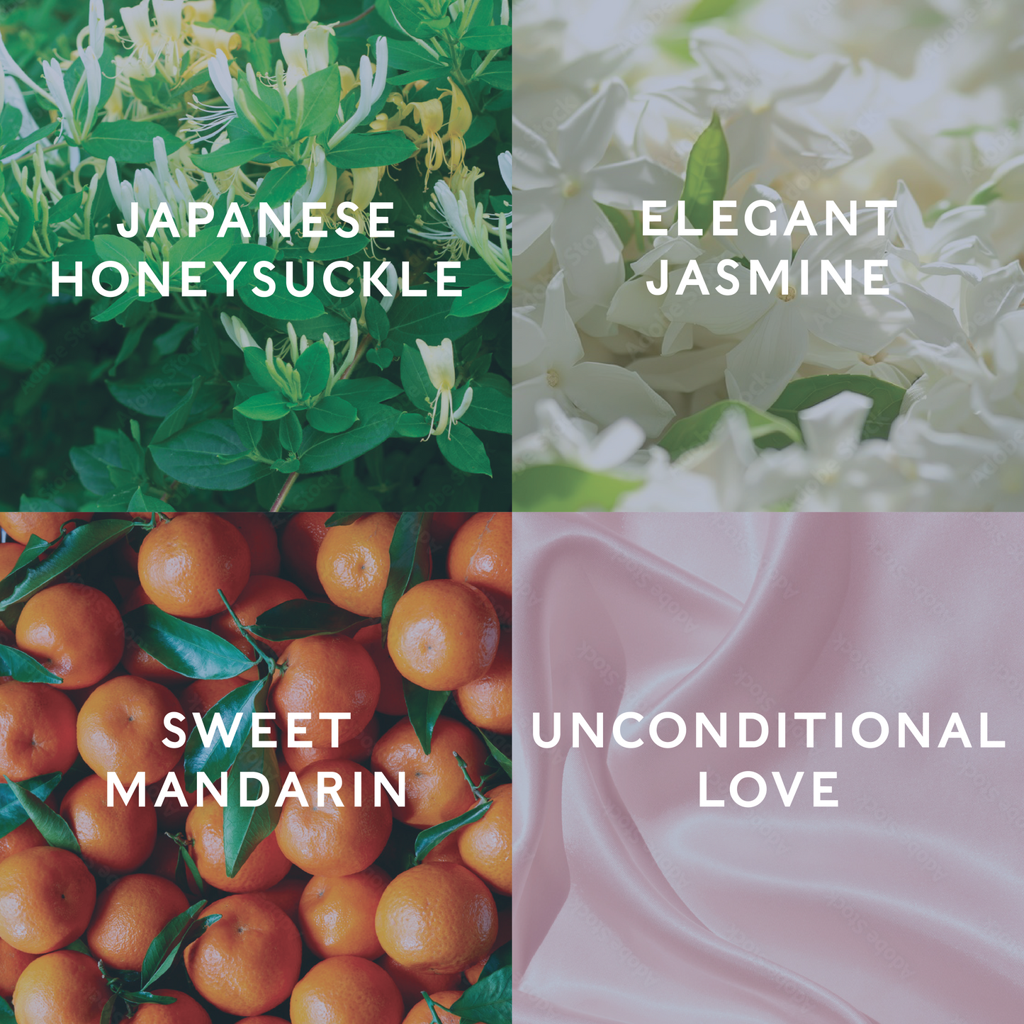 Four different scents with corresponding images and text: Japanese Honeysuckle, Elegant Jasmine, Sweet Mandarin, Unconditional Love demonstrating the candle scent notes.