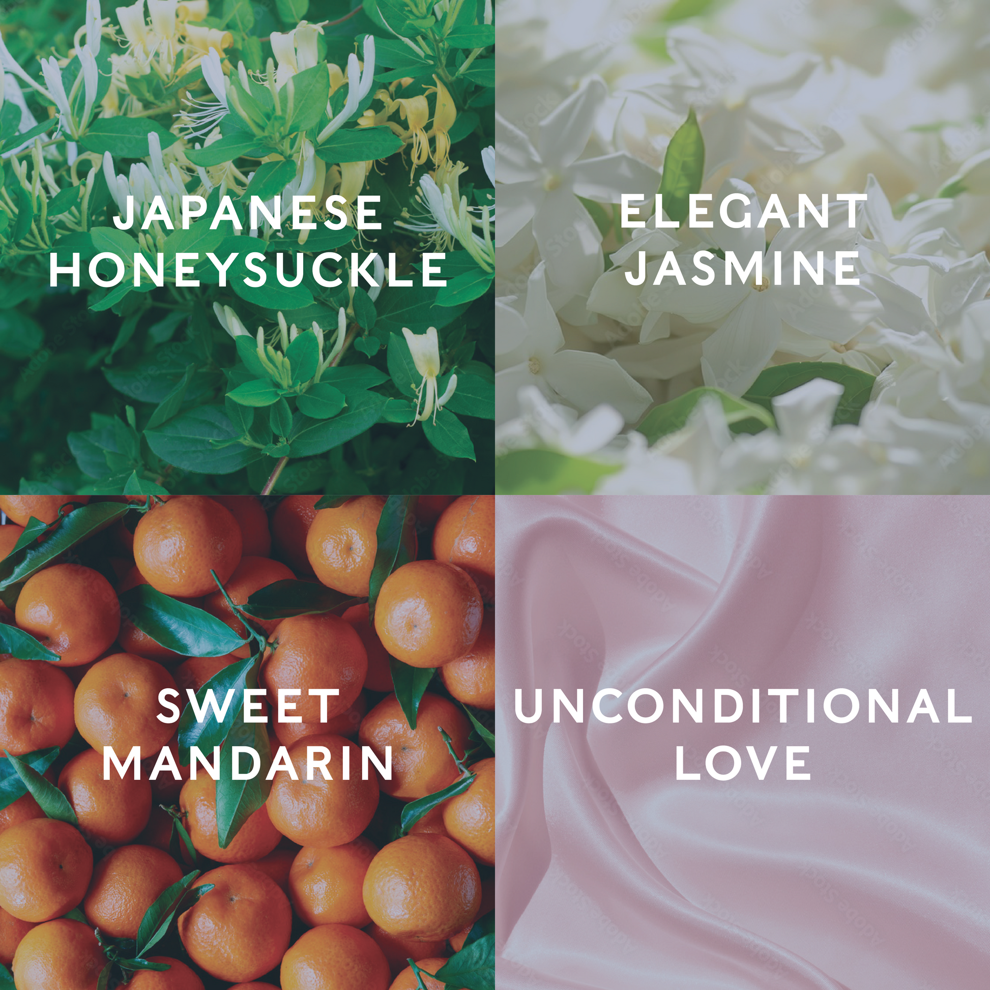 Four different scents with corresponding images and text: Japanese Honeysuckle, Elegant Jasmine, Sweet Mandarin, Unconditional Love demonstrating the candle scent notes.