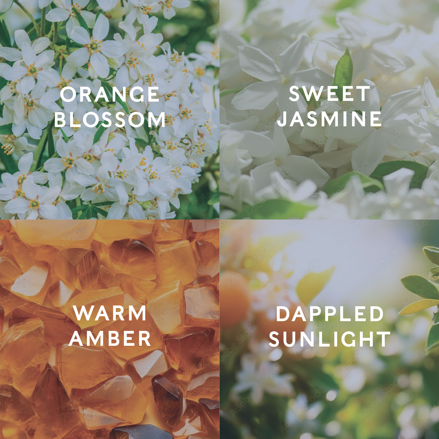 Orange Orchard Candle