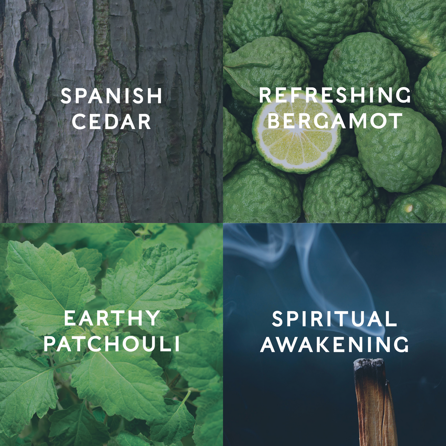 Four quadrants with natural elements and corresponding text labels: Spanish Cedar, Refreshing Bergamot, Earthy Patchouli, Spiritual Awakening demonstrating the candle scent notes.