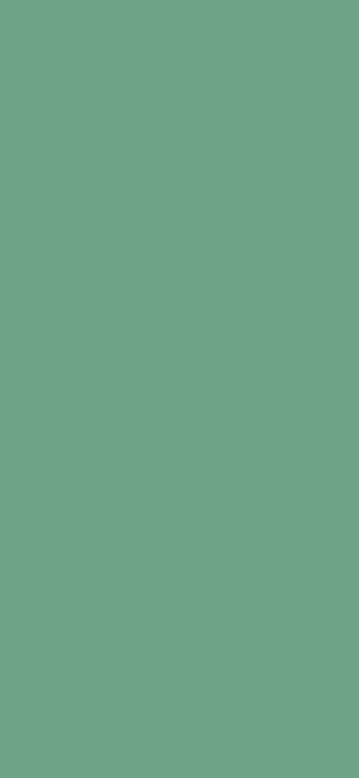 One-colour blank phone wallpaper in forest green.