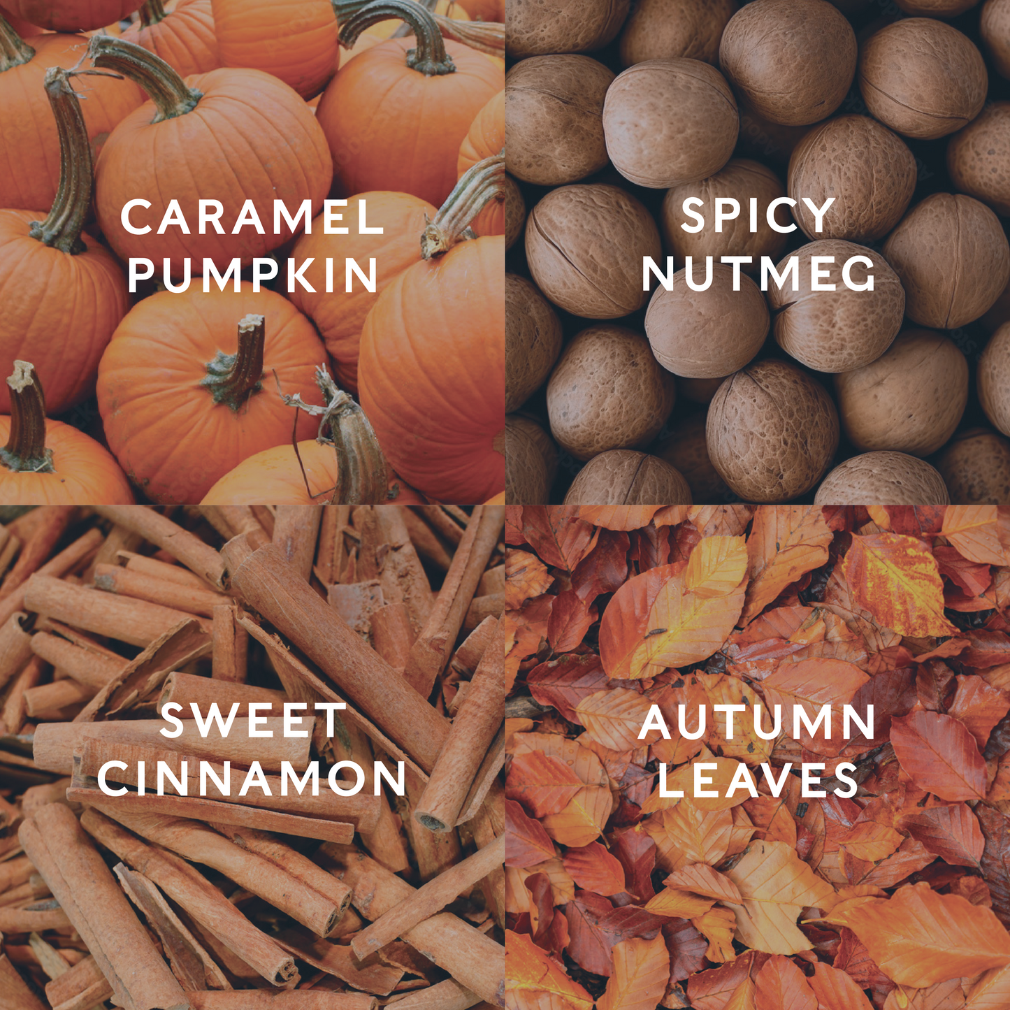 Four images labeled 'Caramel Pumpkin', 'Spicy Nutmeg', 'Sweet Cinnamon', and 'Autumn Leaves' with corresponding items demonstrating the candle scent notes.