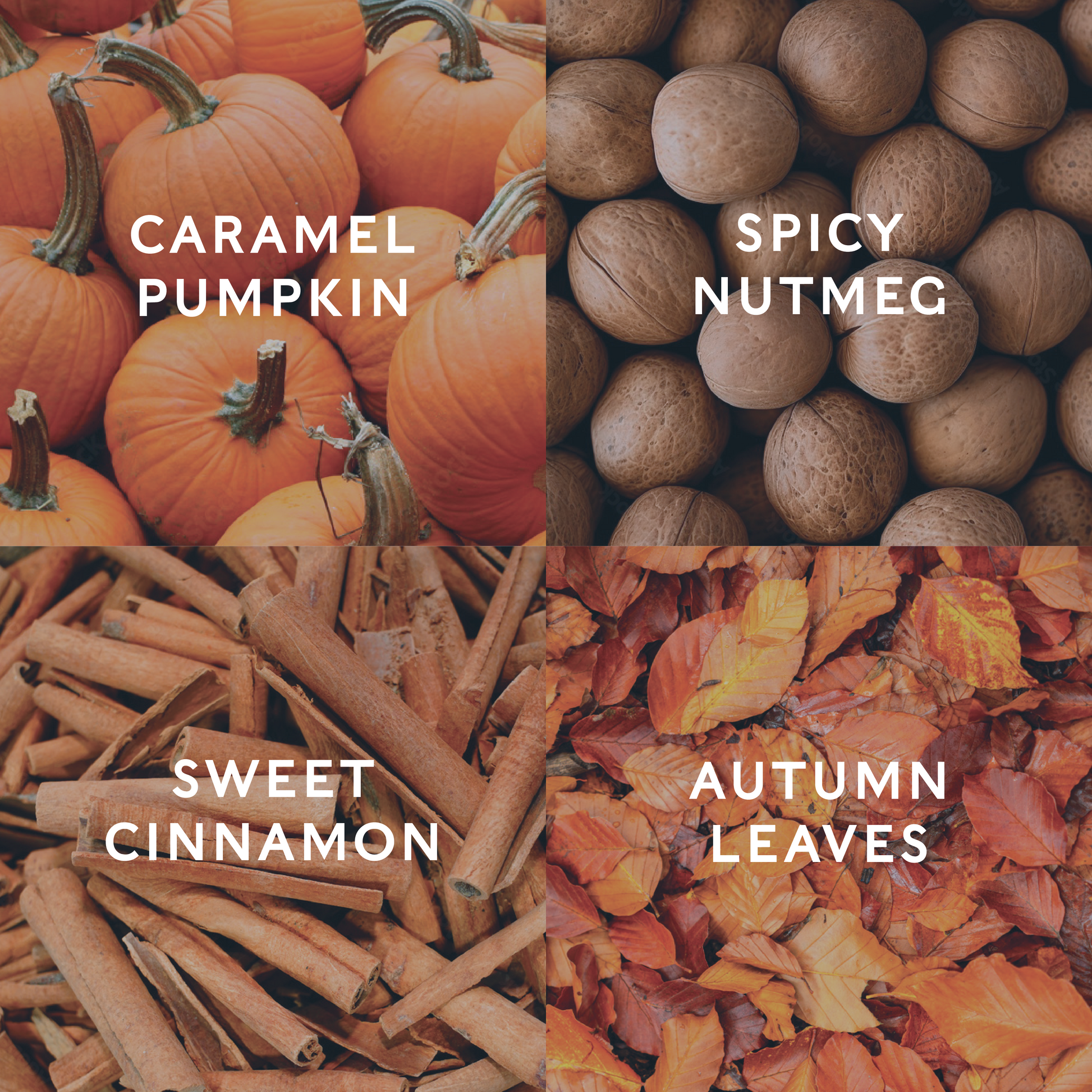 Four images labeled 'Caramel Pumpkin', 'Spicy Nutmeg', 'Sweet Cinnamon', and 'Autumn Leaves' with corresponding items demonstrating the candle scent notes.